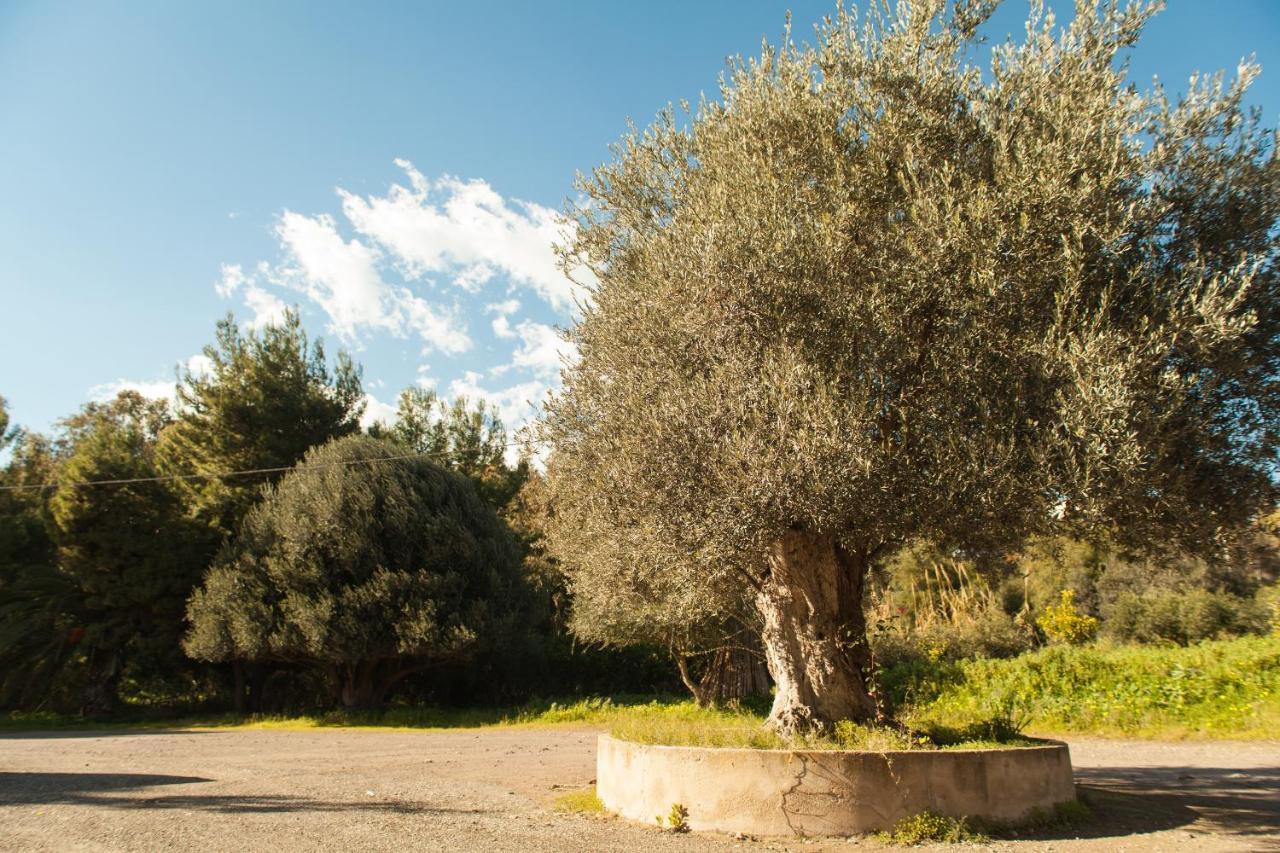 Bed and Breakfast L'Albero Porto Empedocle Exterior foto